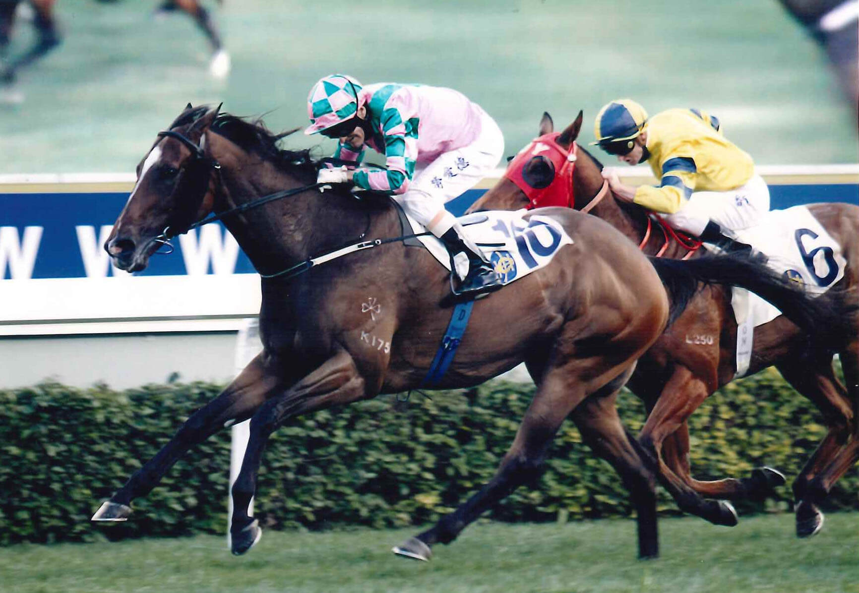 Aashiq, winner of two Group 3 races and a total of 6 career wins